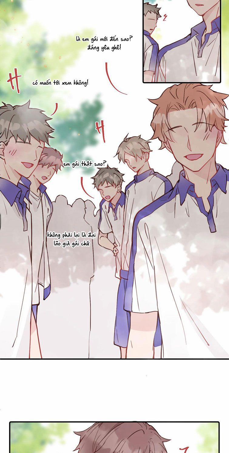 Tỏ Tình Vô Hiệu 21 trang 28