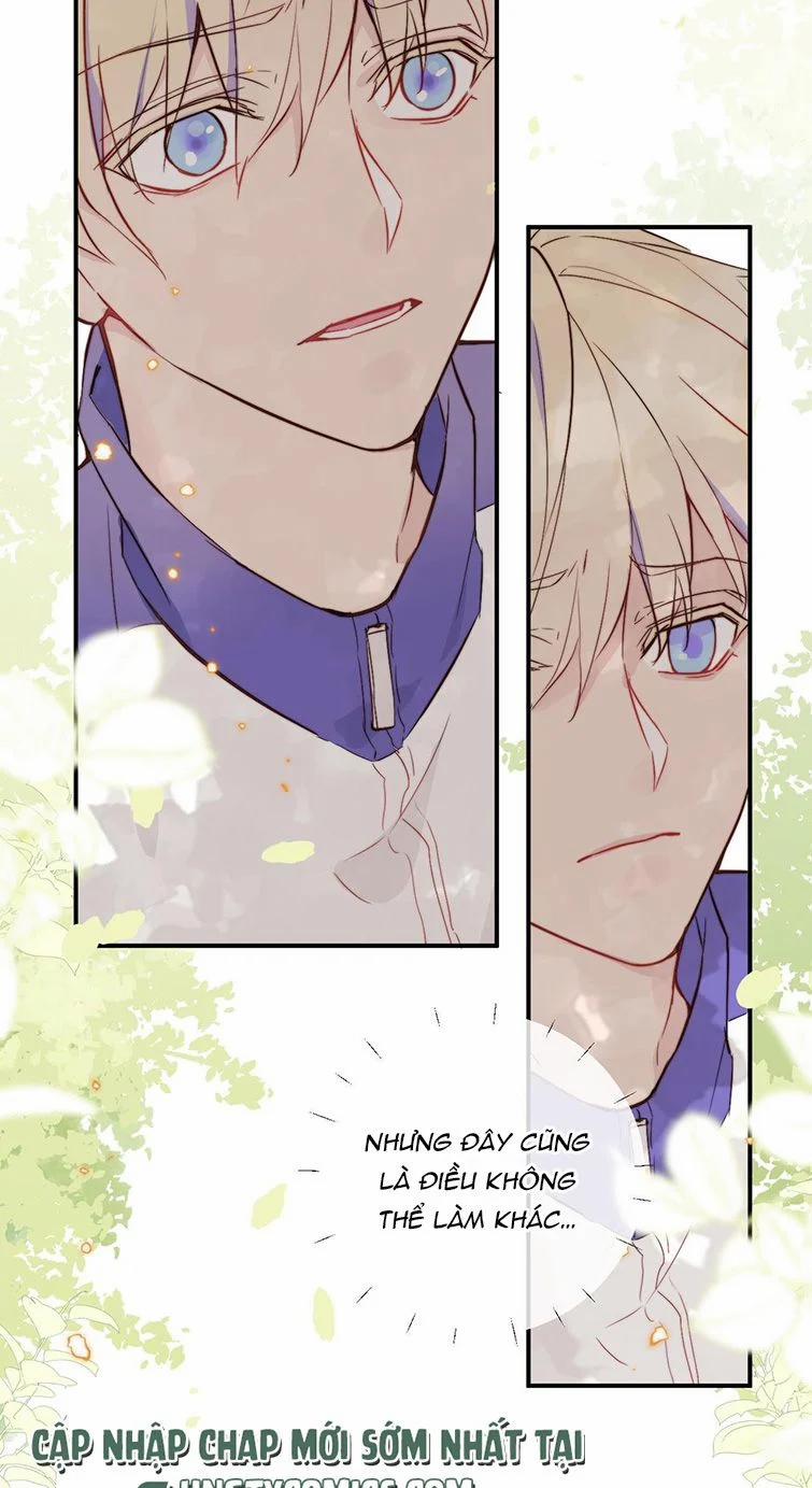 Tỏ Tình Vô Hiệu 6 trang 21