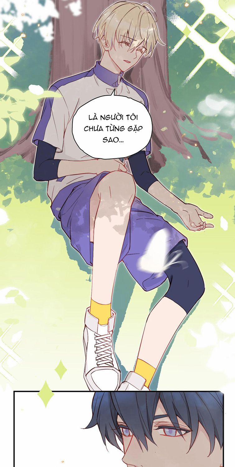 Tỏ Tình Vô Hiệu 7 trang 11