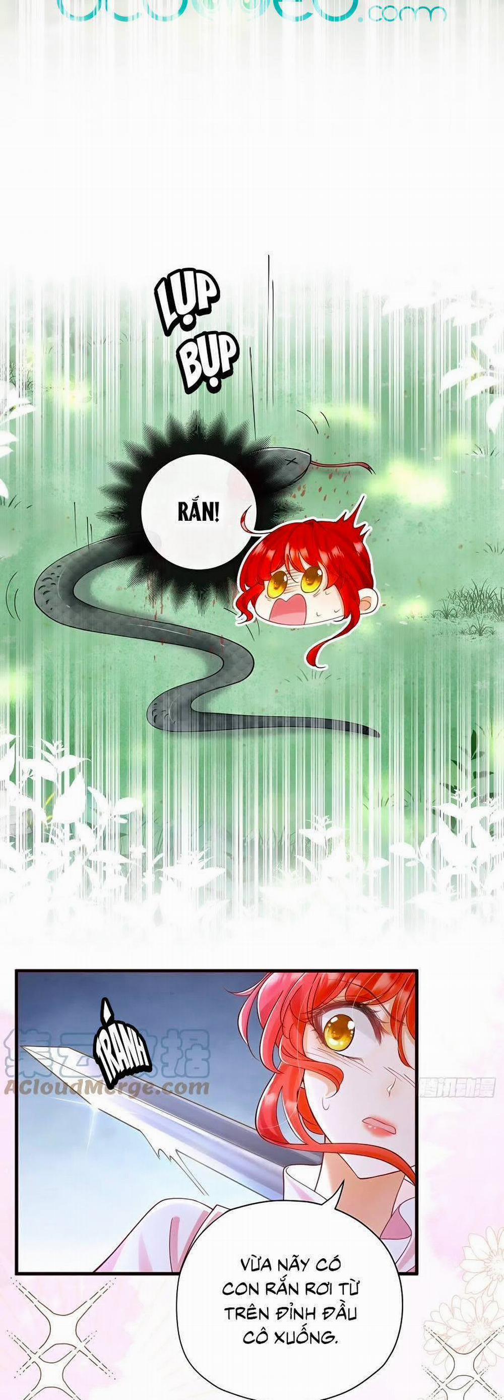 Tỏ Tình Với Kẻ Thù 13 trang 5