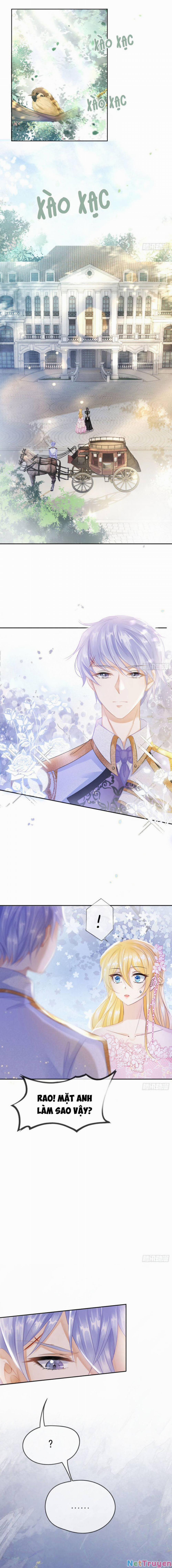 Tỏ Tình Với Kẻ Thù 4 trang 5