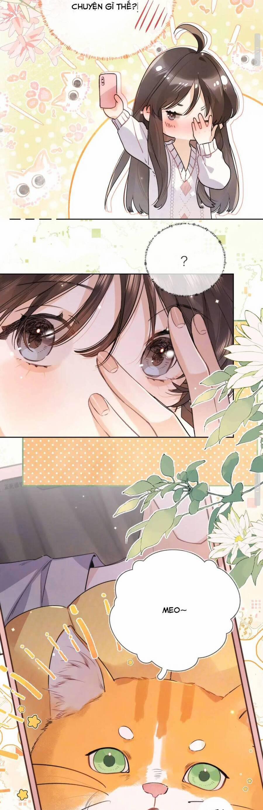 Tỏ Tình 50 trang 1