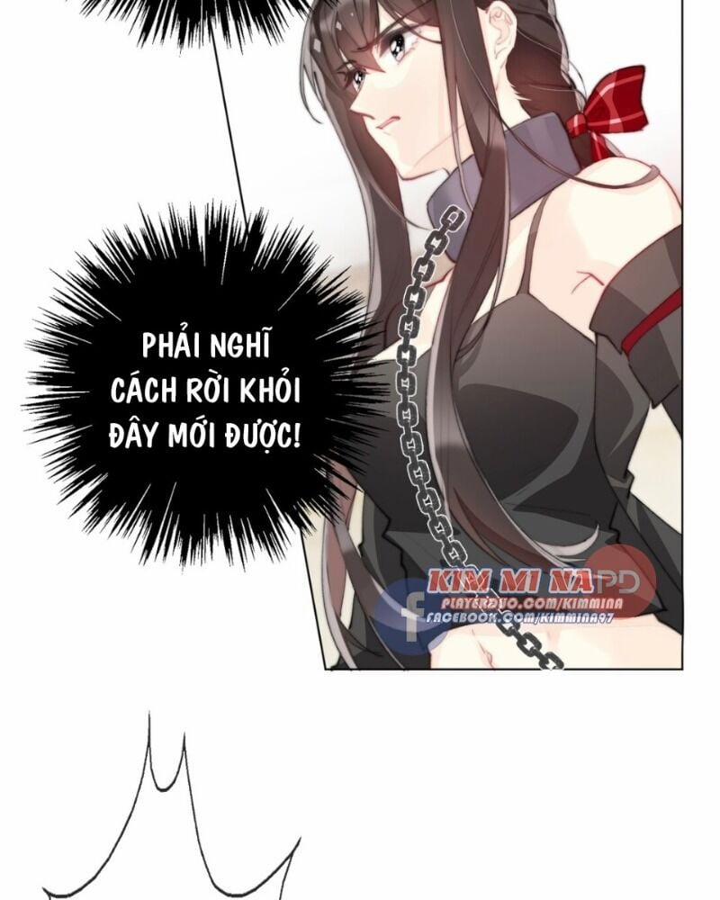 Tôi Bị Ép Trở Thành Vương Phi Khi Xuyên Tới Thế Giới Khác 1.2 trang 7