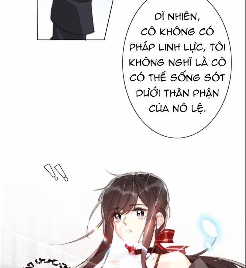 Tôi Bị Ép Trở Thành Vương Phi Khi Xuyên Tới Thế Giới Khác 2 trang 5