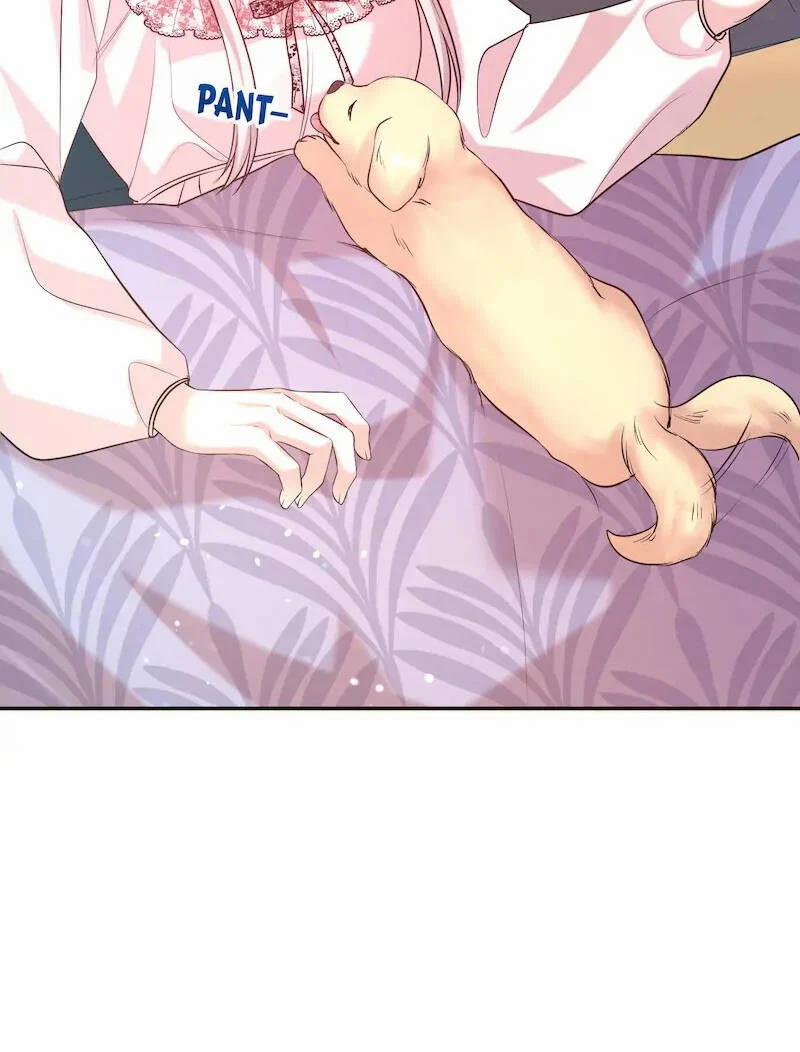 Tôi Chán Nản Vì Chồng Thứ Hai Không Chung Thủy 75.1 trang 15