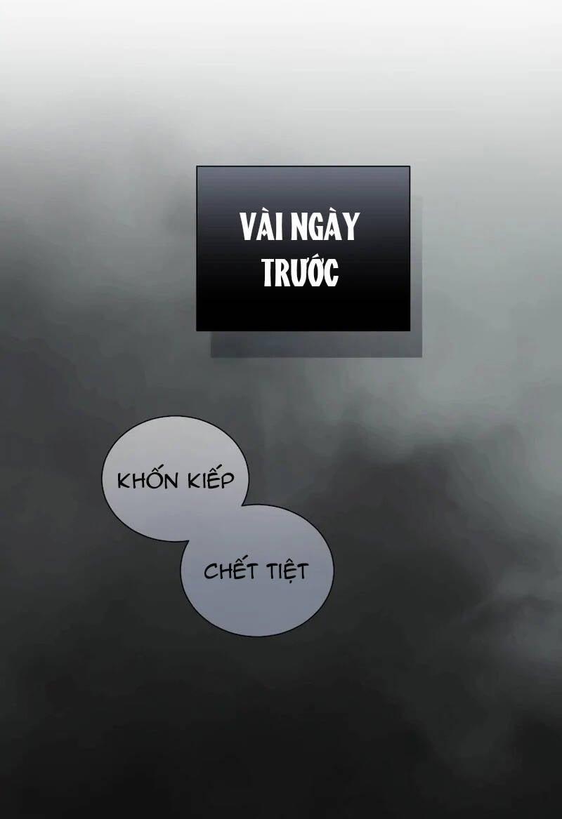 Tôi Chán Nản Vì Chồng Thứ Hai Không Chung Thủy 84.1 trang 3