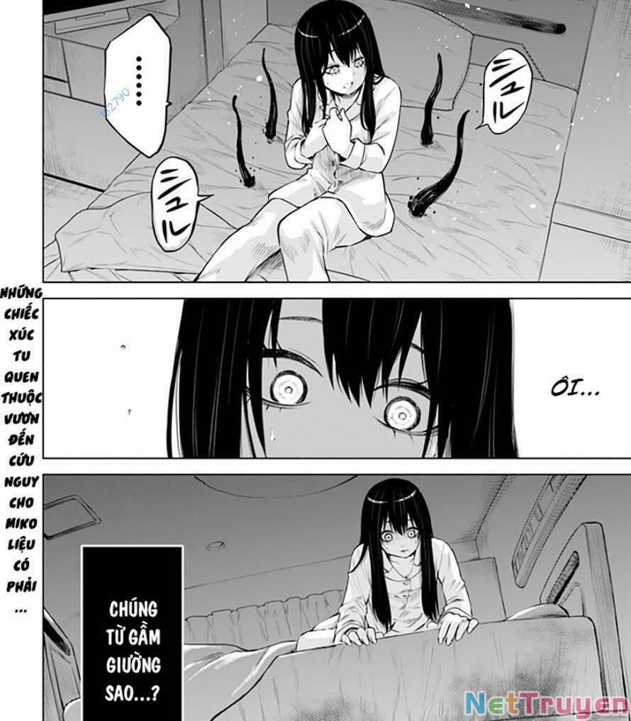 Tôi Có Thể Nhìn Thấy Chúng... 54 trang 39