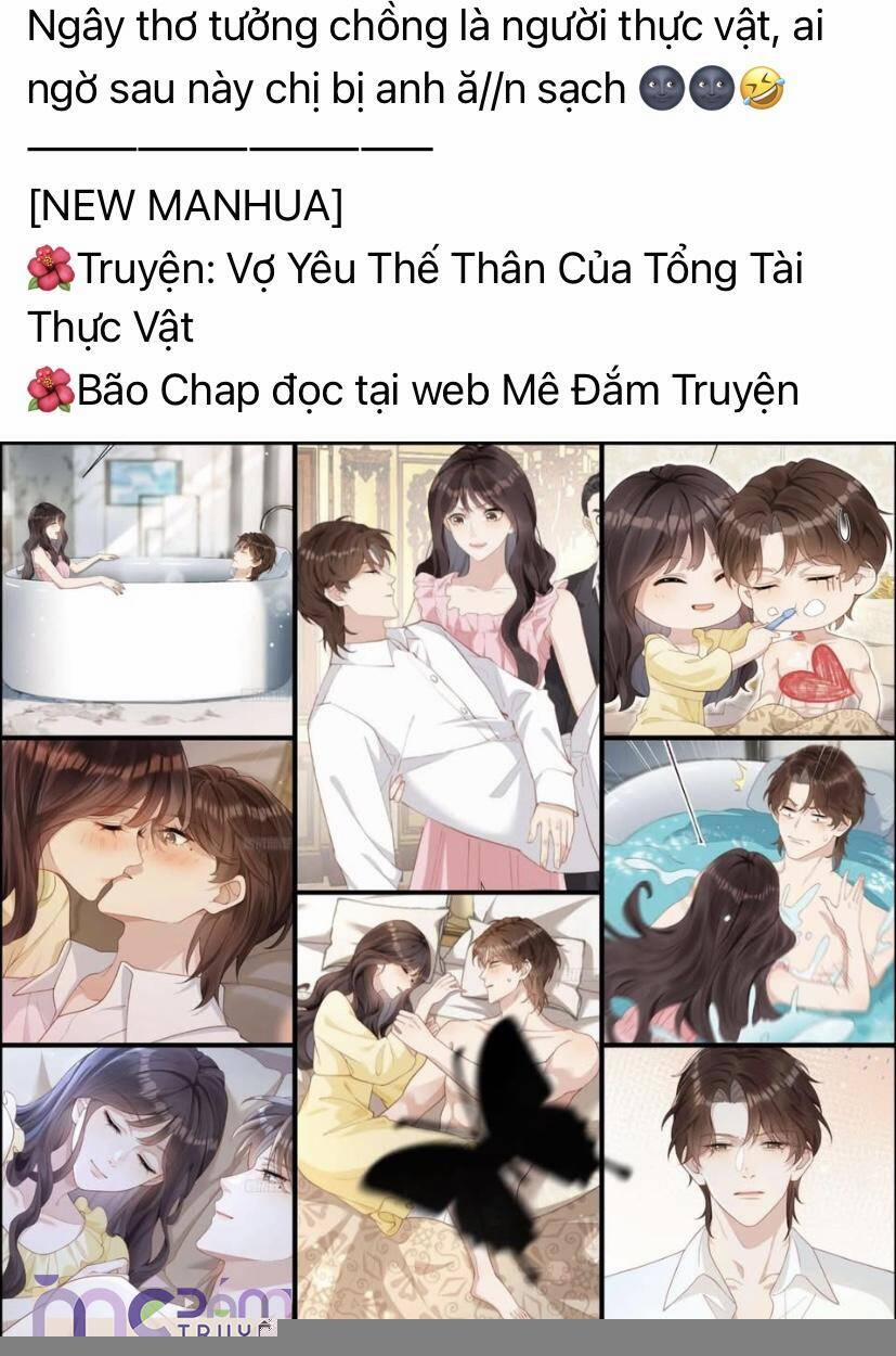 Tôi Cũng Muốn Làm Mợ Út 51 trang 2