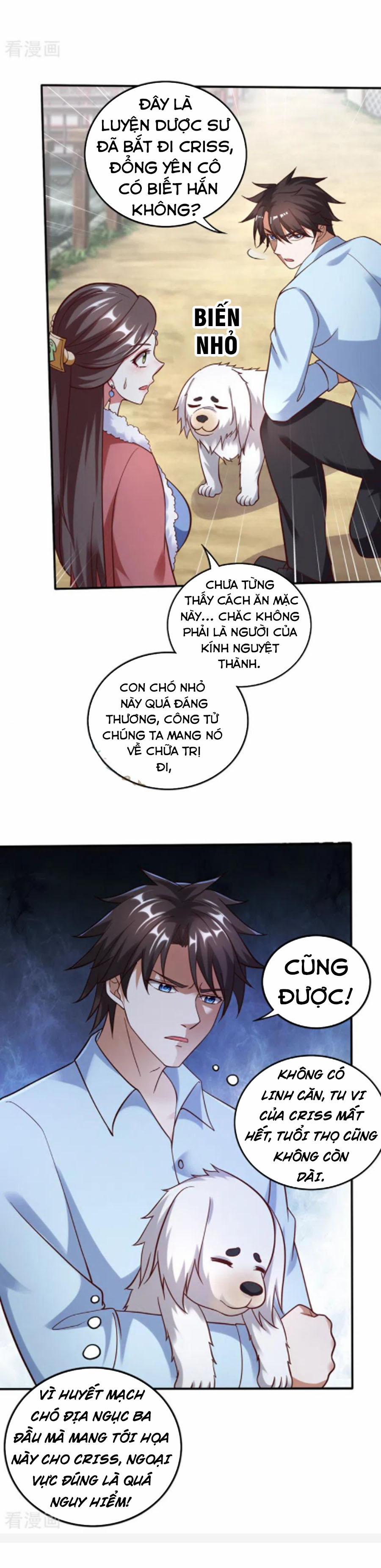 Tối Cường Thần Y Tại Đô Thị 244 trang 5