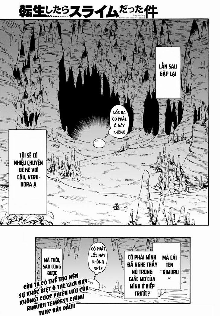 Tôi Đã Chuyển Sinh Thành Slime 1 trang 46