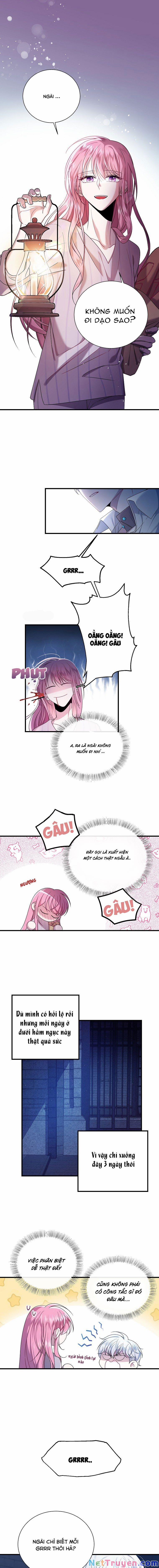 Tôi Đã Gặp Nam Chính Ở Trong Tù 3 trang 0