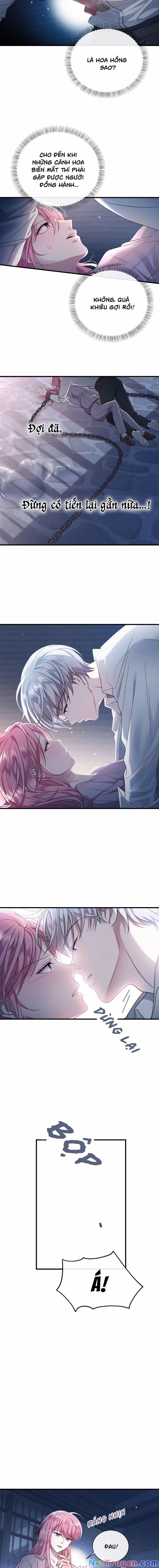 Tôi Đã Gặp Nam Chính Ở Trong Tù 5 trang 1