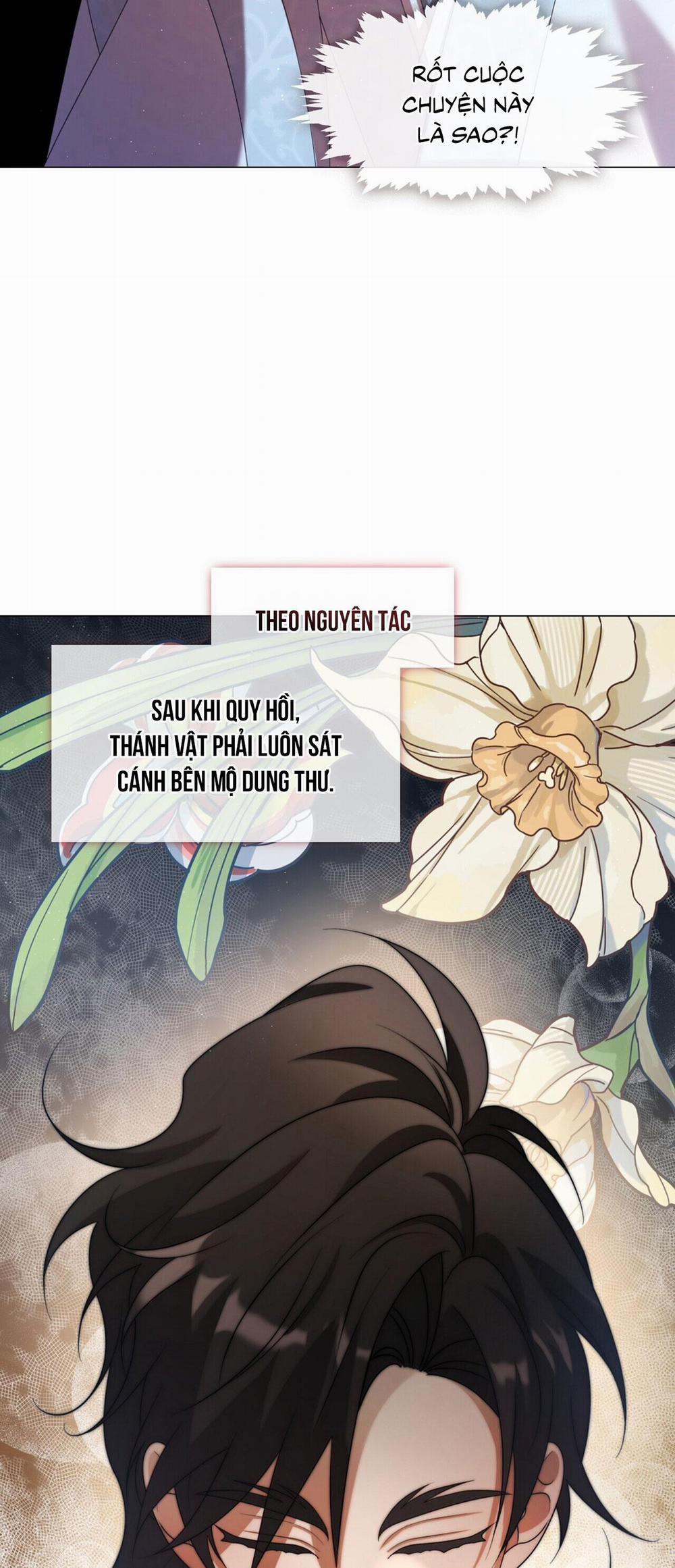 Tôi Đã Nuôi Dạy Thủ Lĩnh Giáo Phái Ác Ma 46 trang 4