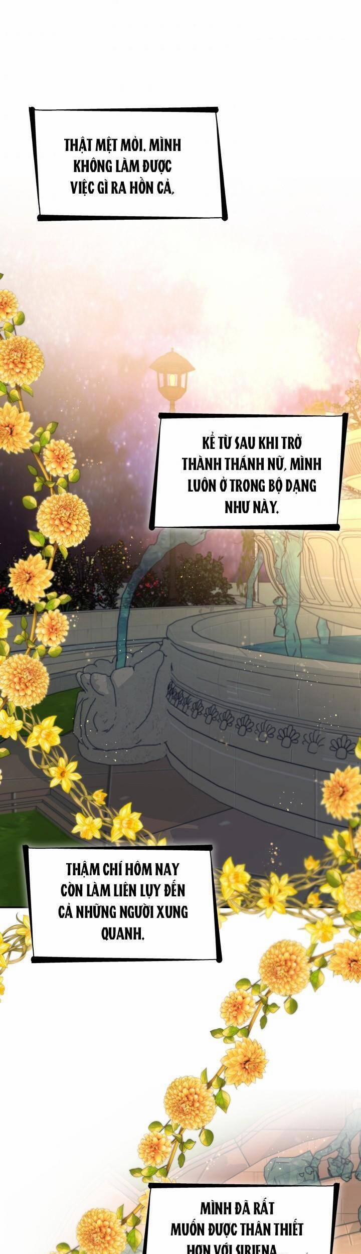 Tôi Đánh Mất Dây Xích Của Nam Chính Yandere 33 trang 21