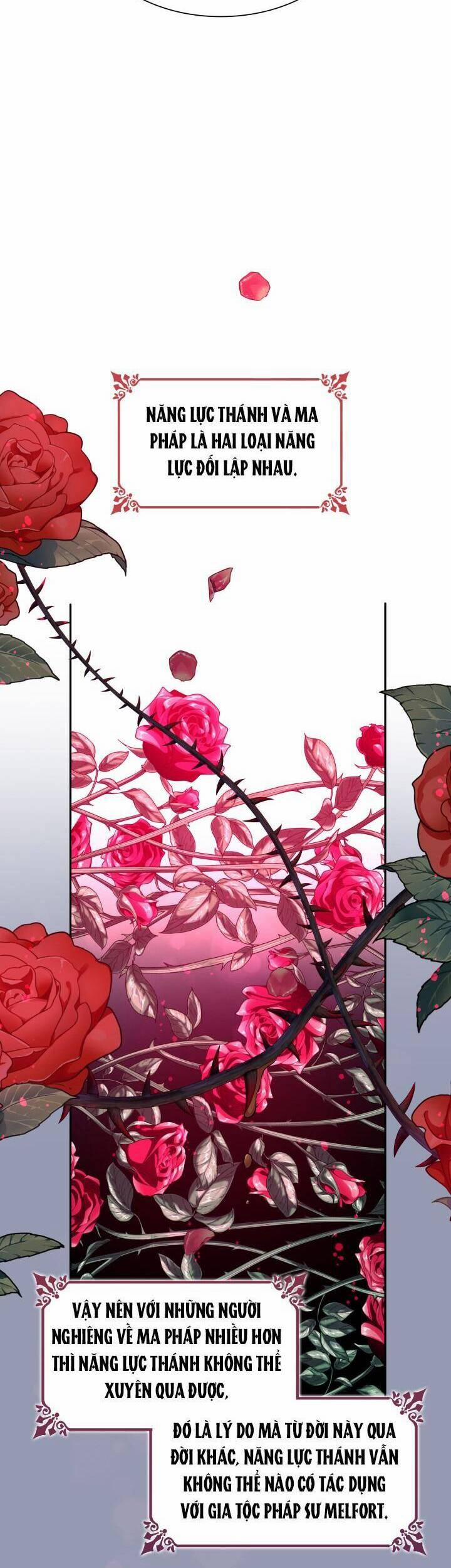 Tôi Đánh Mất Dây Xích Của Nam Chính Yandere 33 trang 8