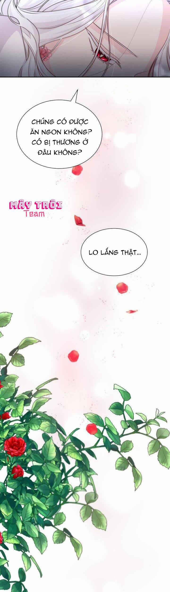 Tôi Đánh Mất Dây Xích Của Nam Chính Yandere 35 trang 16