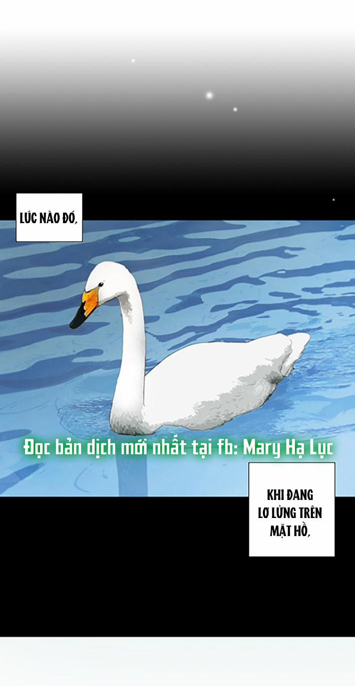 Tôi Được Tổng Giám Đốc Tỏ Tình 10.3 trang 3