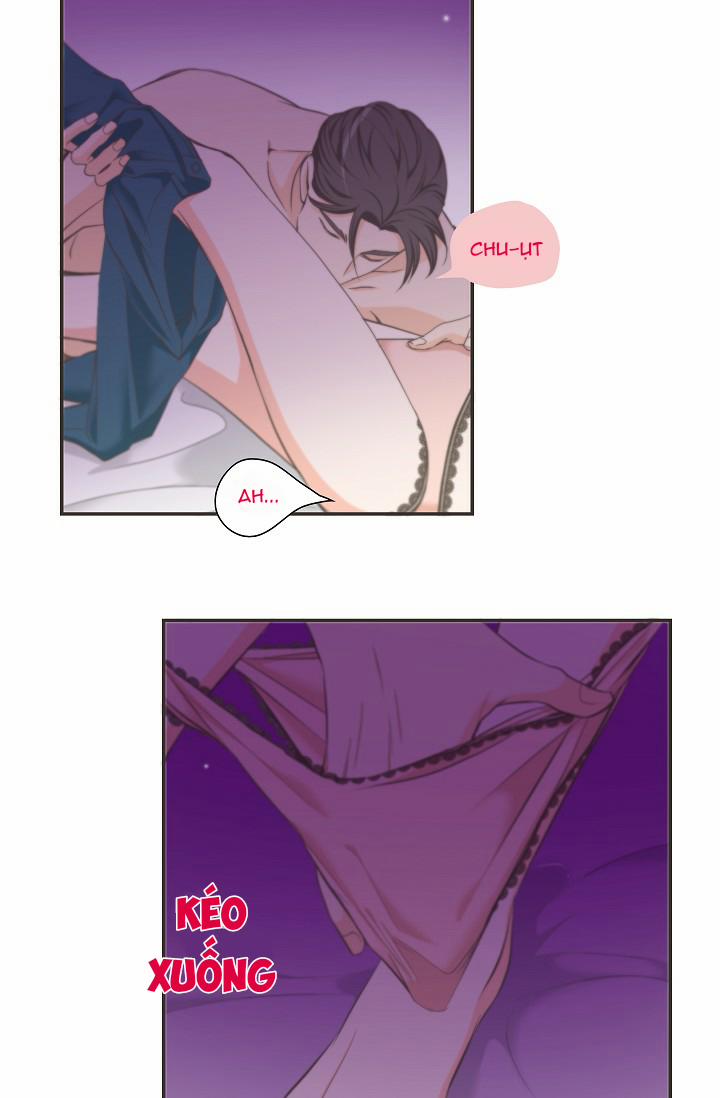 Tôi Được Tổng Giám Đốc Tỏ Tình 13 trang 17