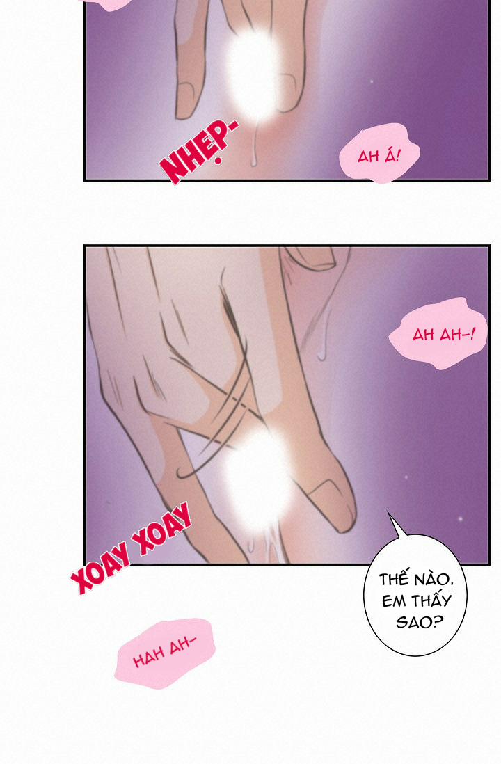 Tôi Được Tổng Giám Đốc Tỏ Tình 13 trang 29