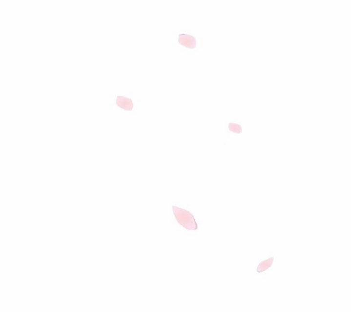 Tôi Được Tổng Giám Đốc Tỏ Tình 9.1 trang 3