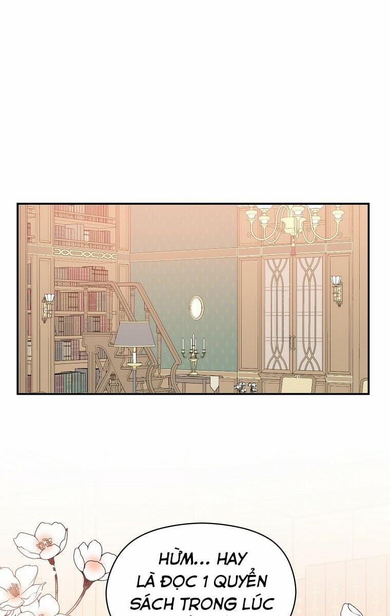 Tôi Không Cố Ý Quyến Rũ Nam Chính Đâu! 3 trang 12