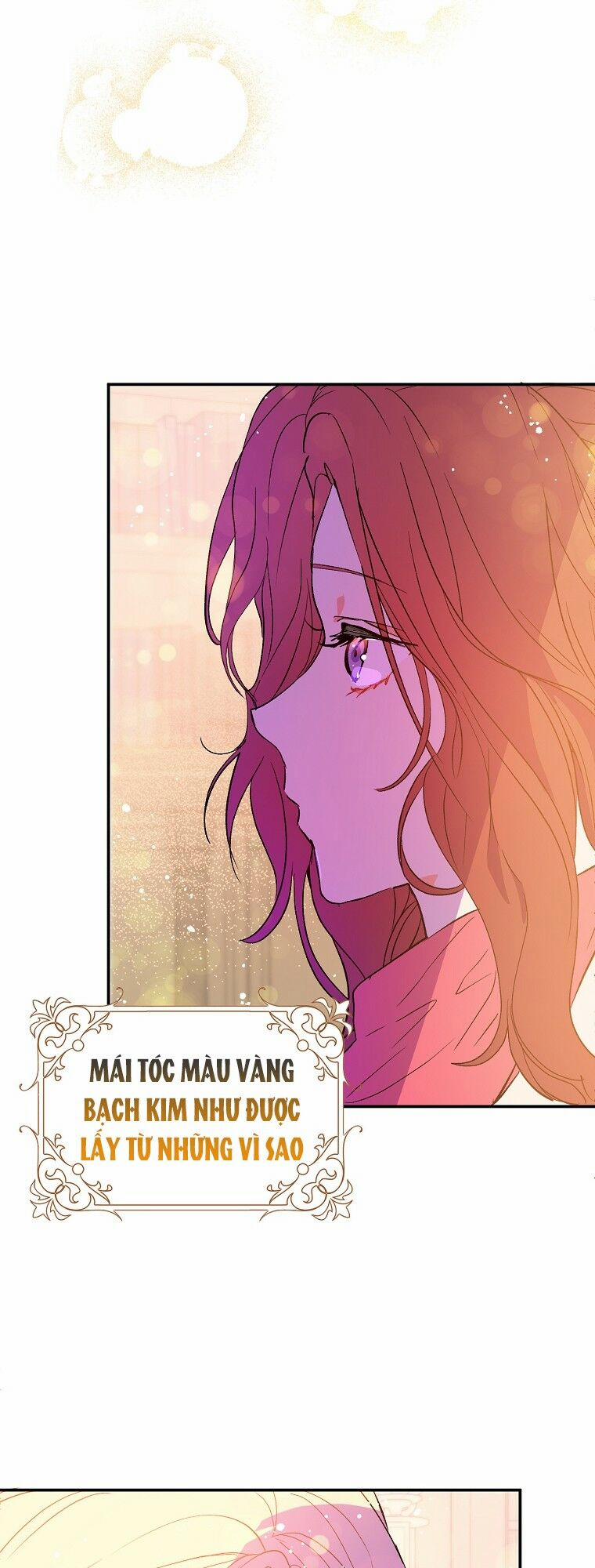 Tôi Không Cố Ý Quyến Rũ Nam Chính Đâu! 3 trang 19