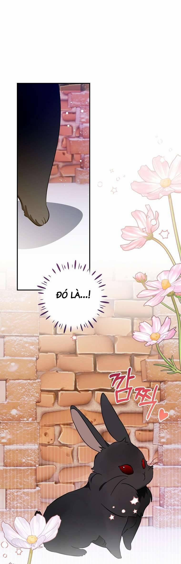 Tôi Không Muốn Có Con Với Nam Chính 11 trang 0