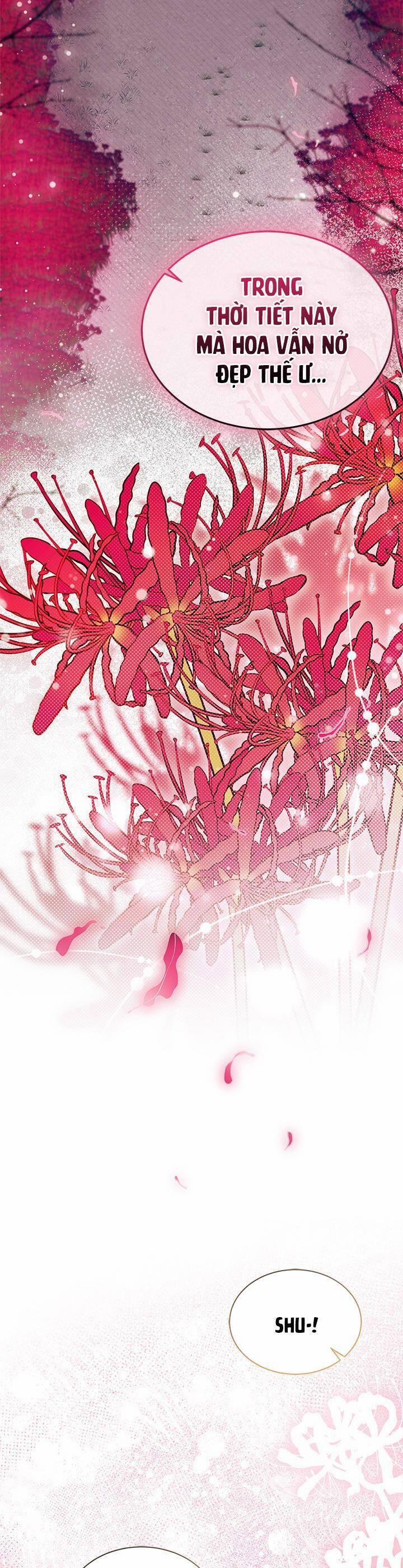 Tôi Không Muốn Làm Người Mai Mối 66 trang 12