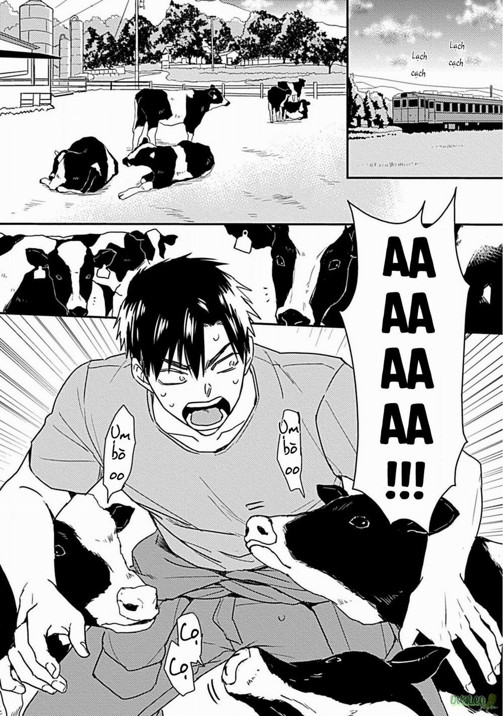 Tôi không phải con bò sữa của anh! 2 trang 14