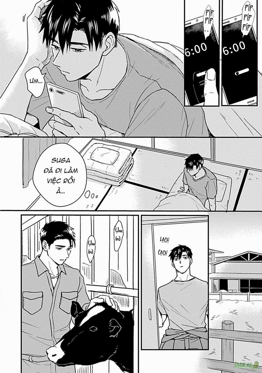 Tôi không phải con bò sữa của anh! 2 trang 17