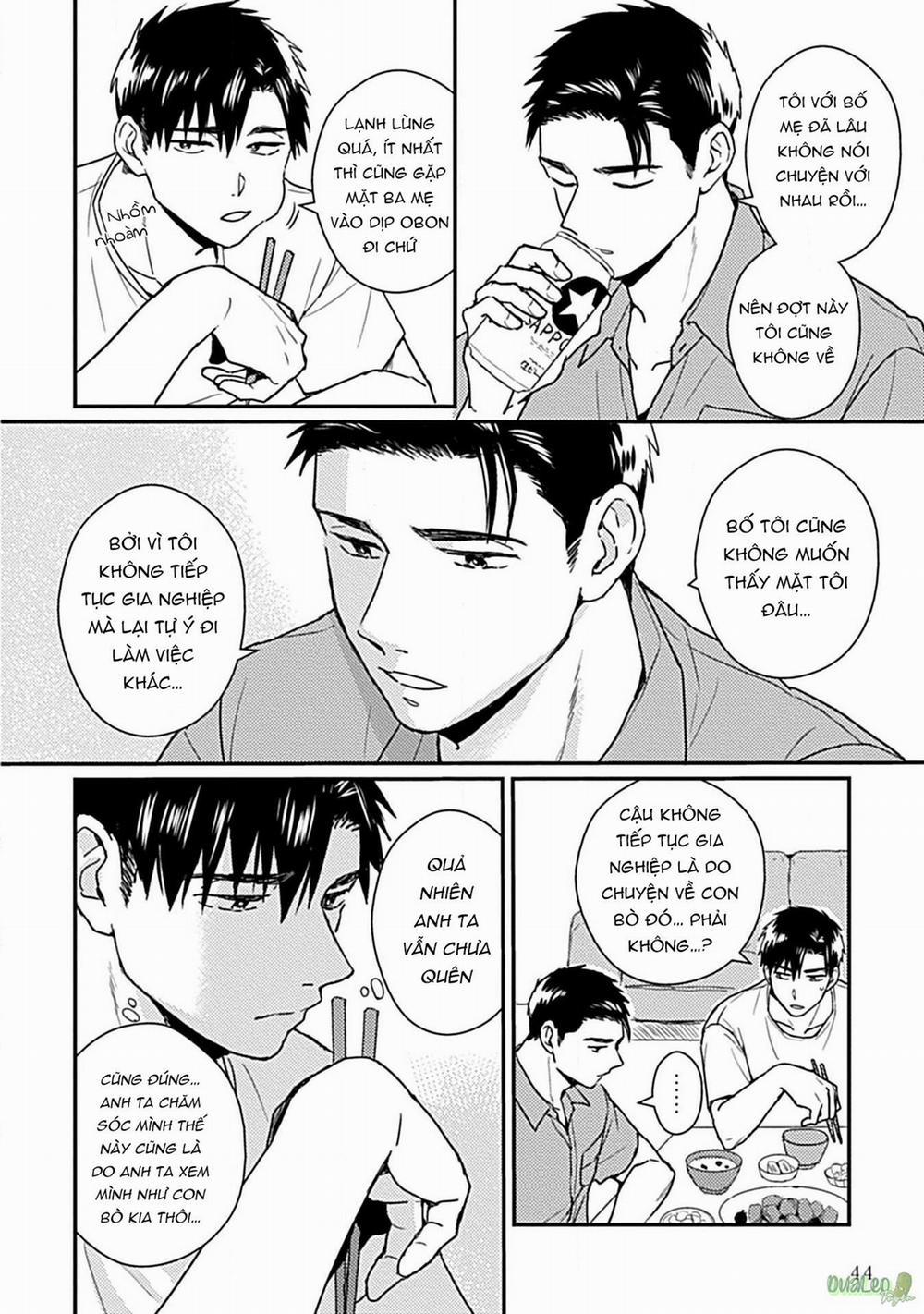 Tôi không phải con bò sữa của anh! 2 trang 2