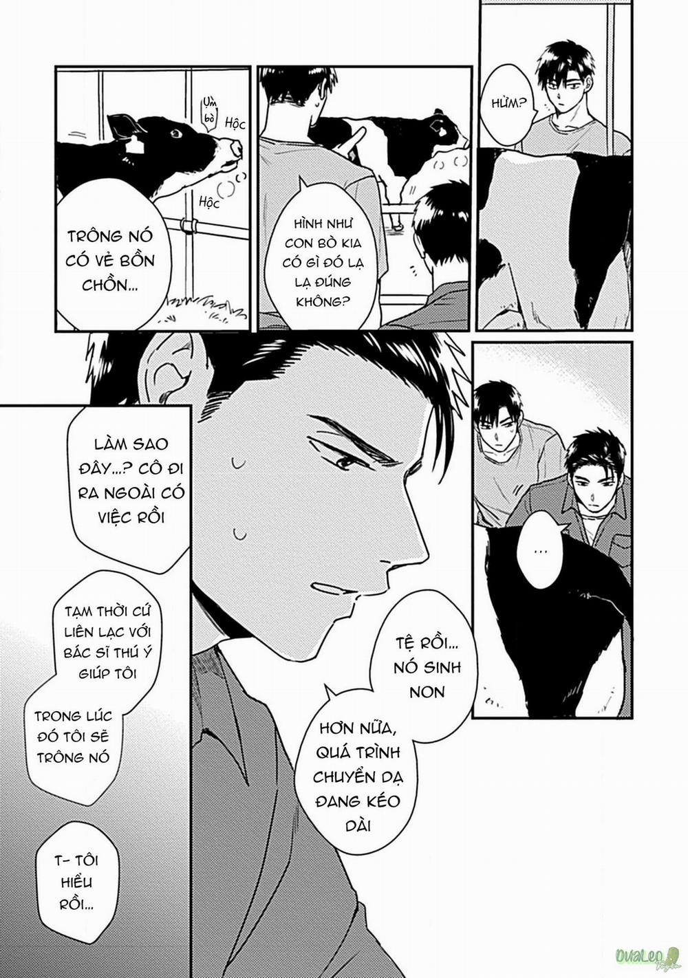 Tôi không phải con bò sữa của anh! 2 trang 20