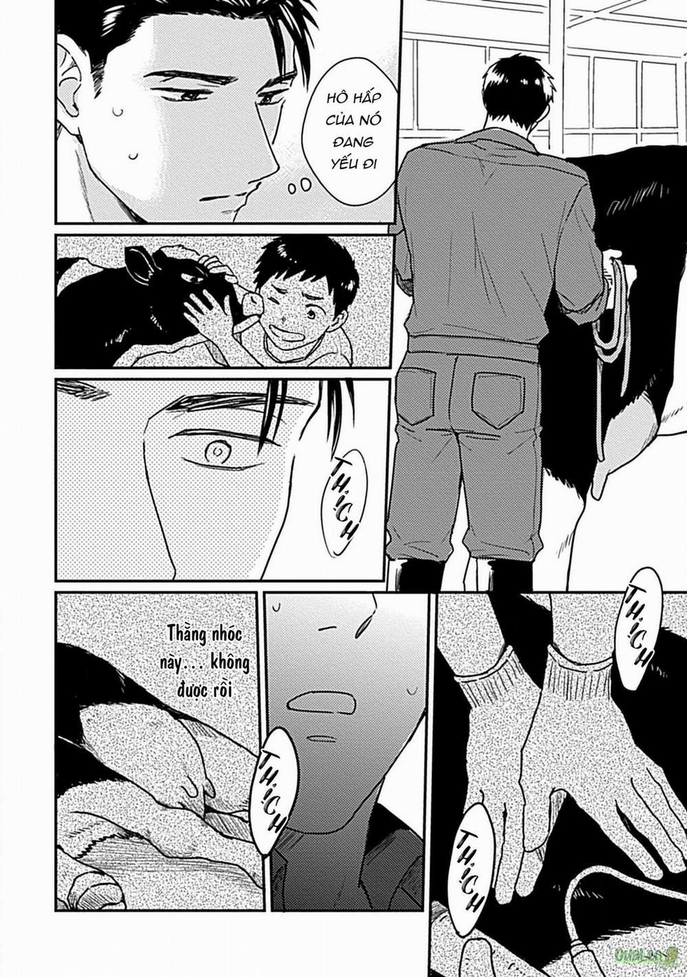 Tôi không phải con bò sữa của anh! 2 trang 21