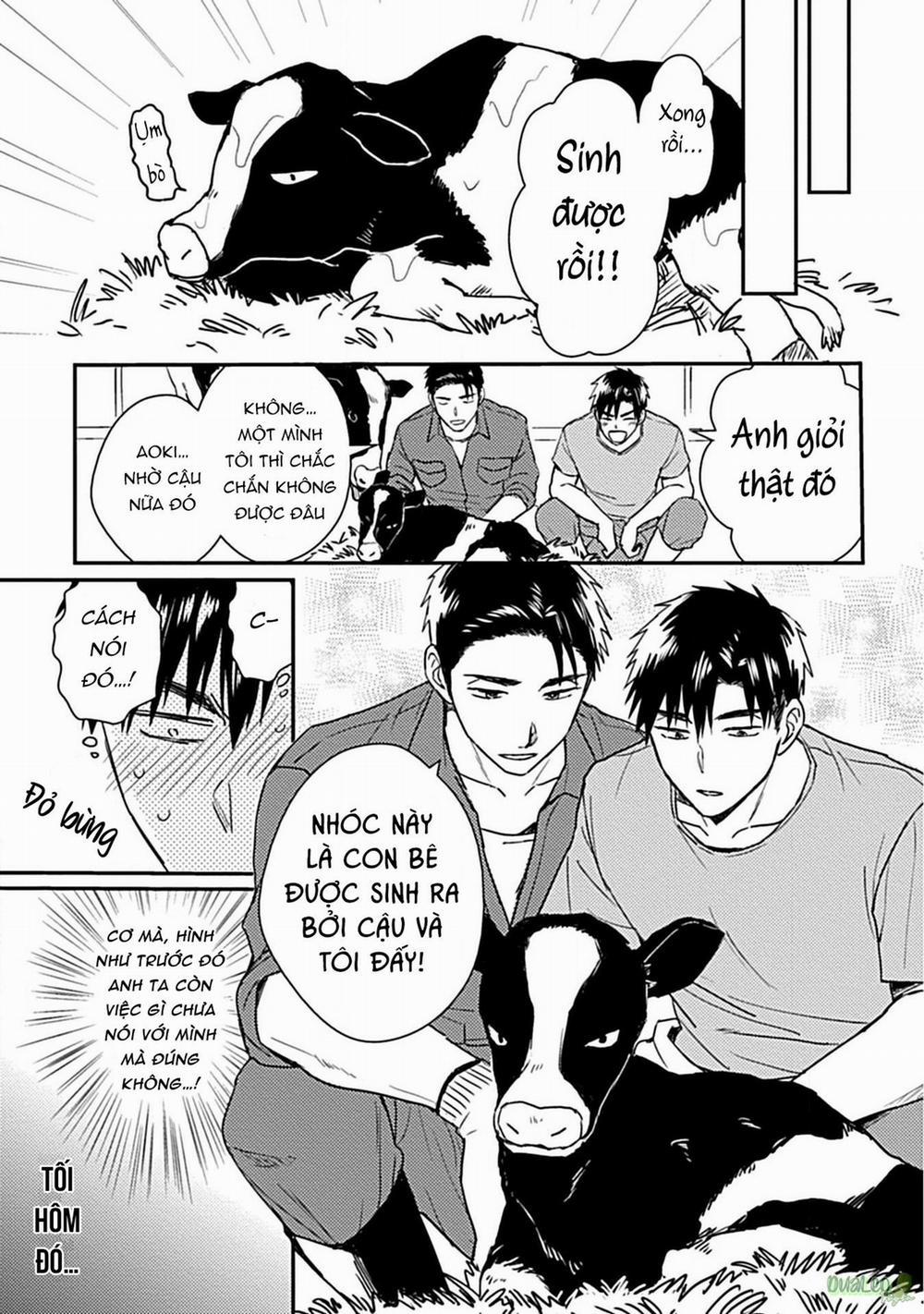 Tôi không phải con bò sữa của anh! 2 trang 24