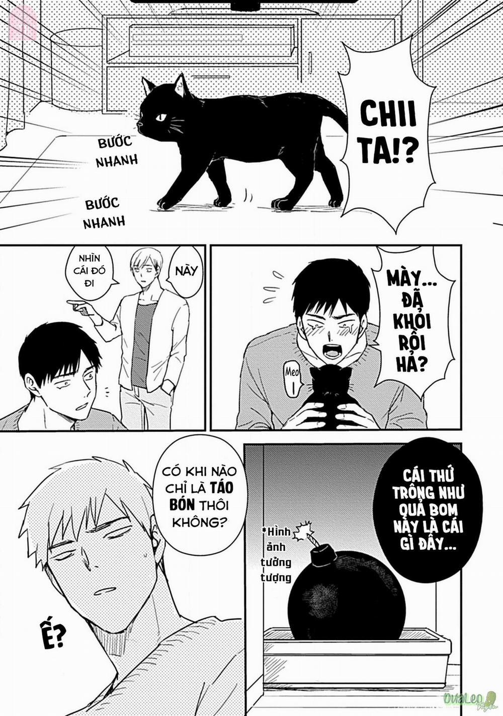 Tôi không phải con bò sữa của anh! 4 trang 14