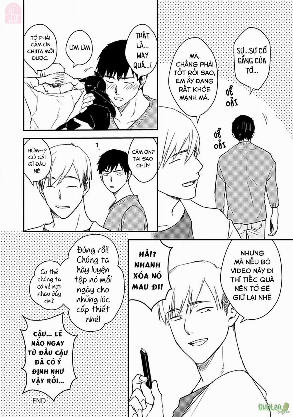 Tôi không phải con bò sữa của anh! 4 trang 15