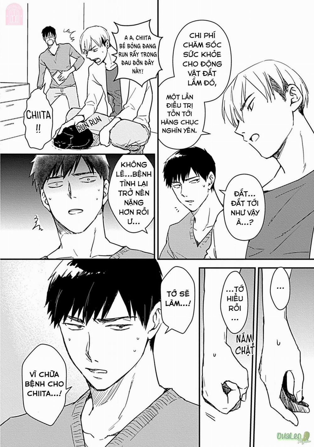 Tôi không phải con bò sữa của anh! 4 trang 3