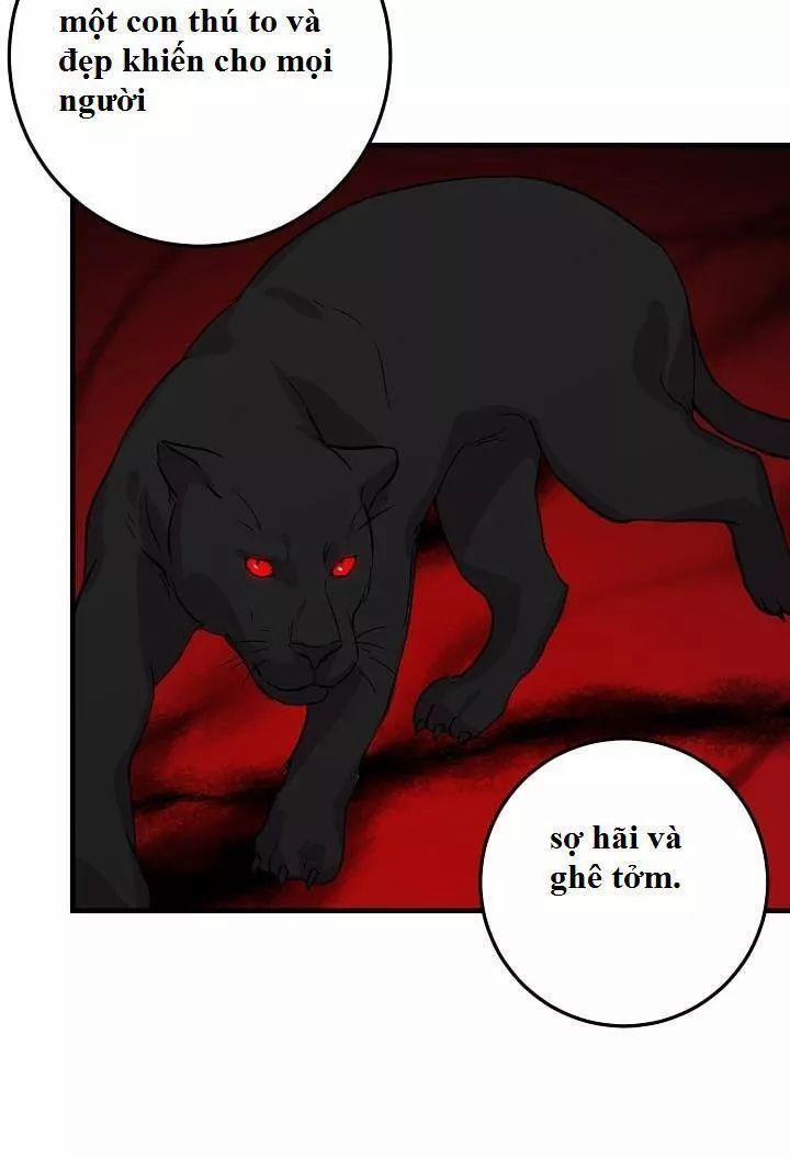 Tôi Là Con Gái Của Gia Đình Này 19 trang 11