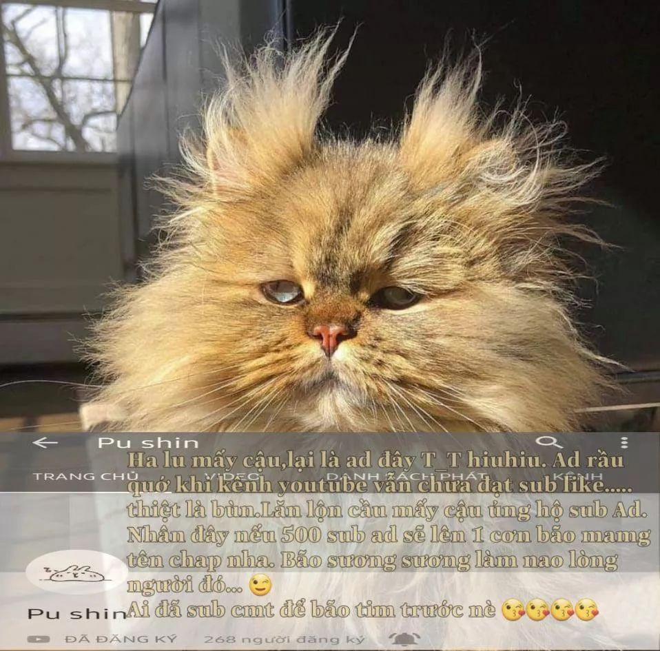 Tôi Là Con Gái Của Gia Đình Này 26.2 trang 21