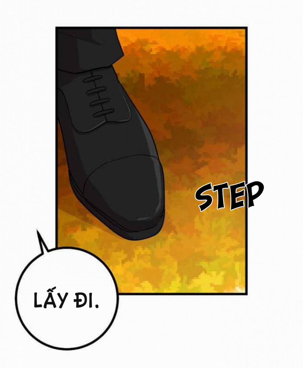 Tôi Là Con Gái Của Gia Đình Này 37 trang 28