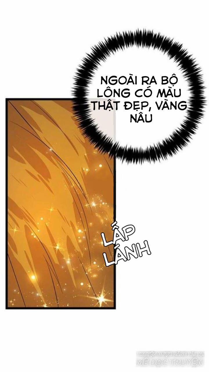 Tôi Là Con Gái Của Gia Đình Này 48 trang 10