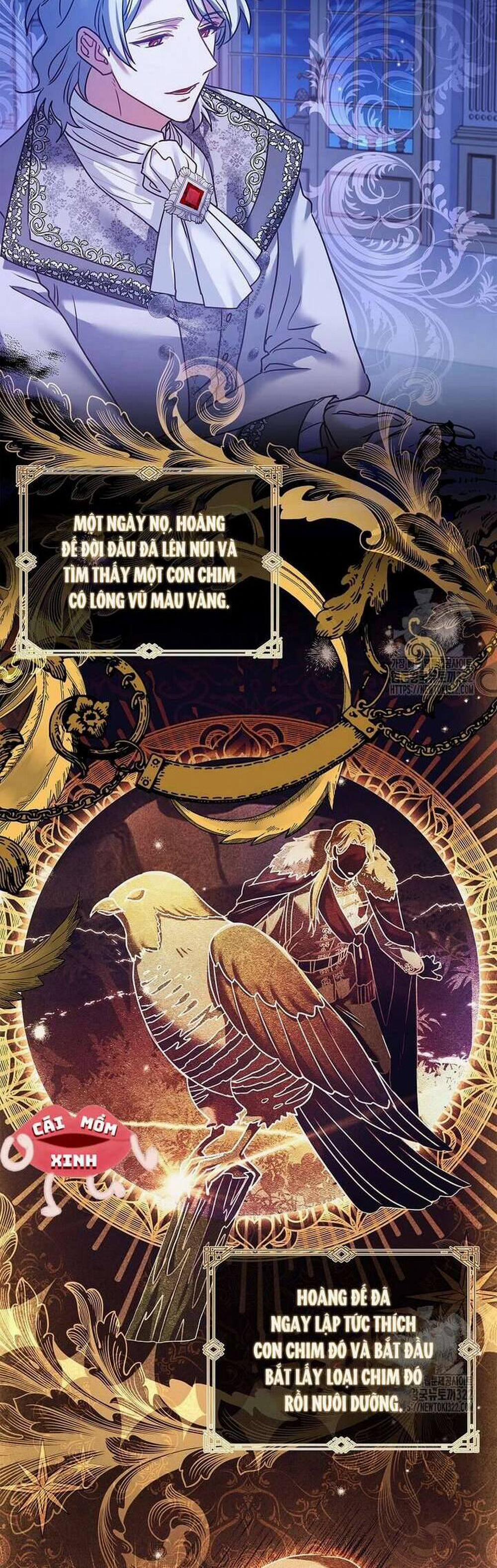 Tôi Phải Mau Chóng Kết Hôn Vì Thời Gian Có Hạn 23 trang 21