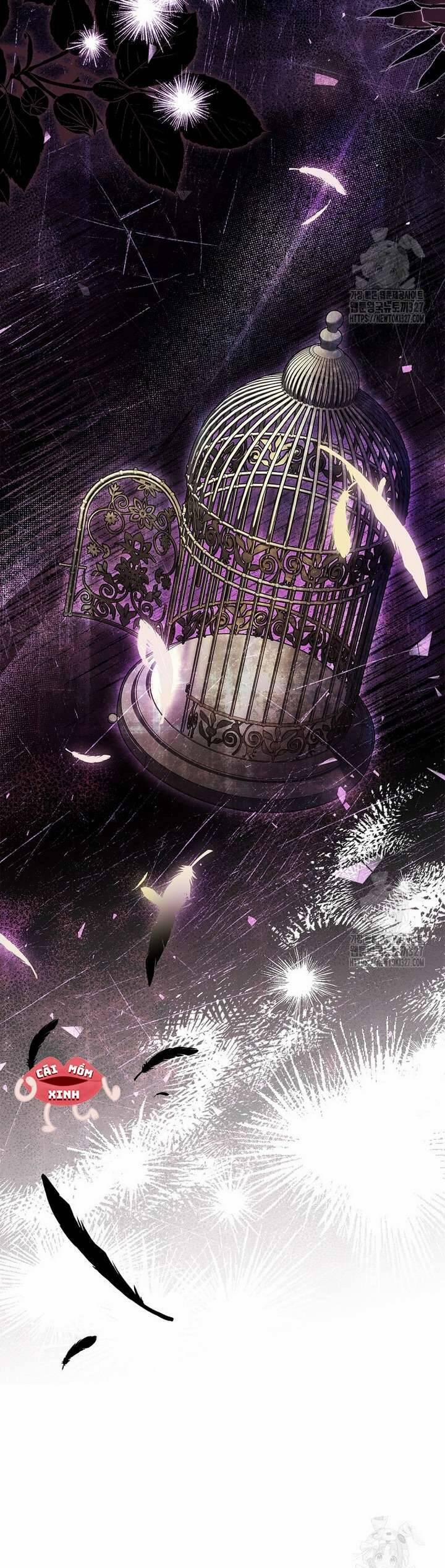 Tôi Phải Mau Chóng Kết Hôn Vì Thời Gian Có Hạn 29 trang 42