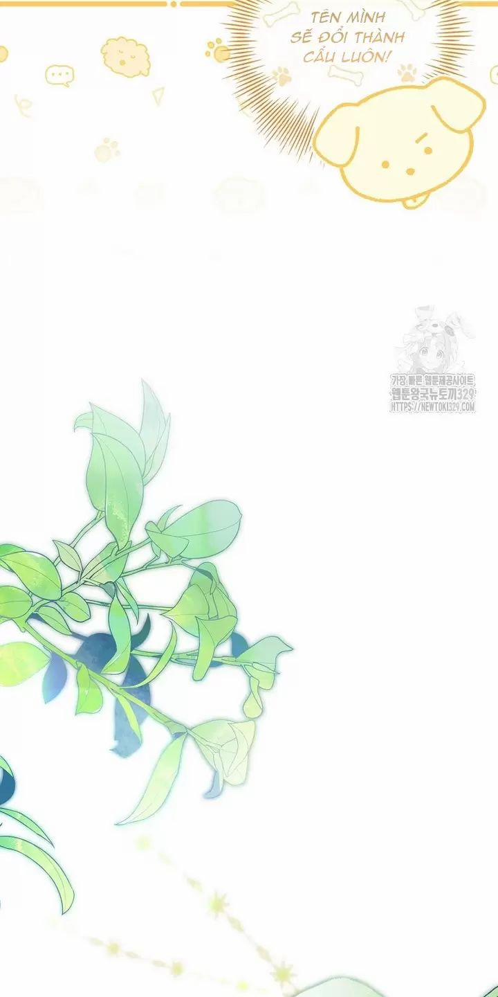 Tôi Phải Mau Chóng Kết Hôn Vì Thời Gian Có Hạn 31 trang 42