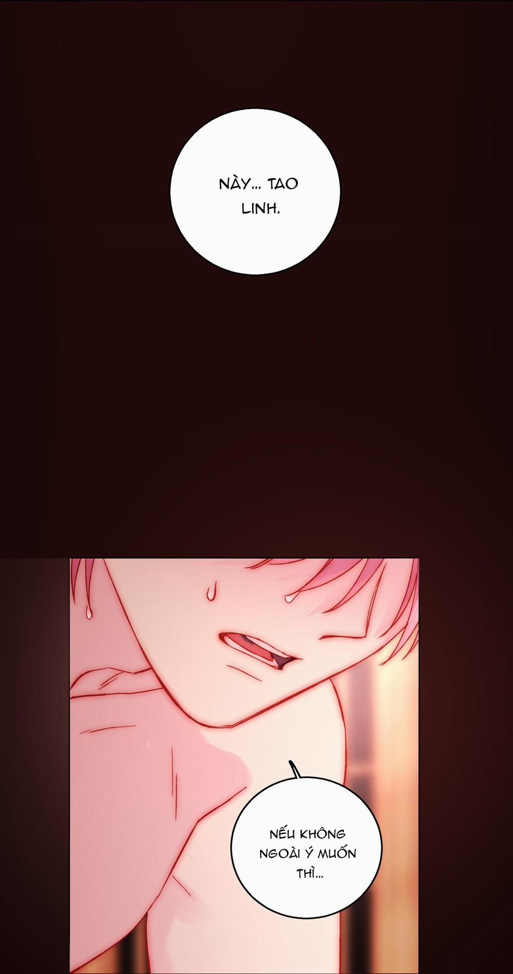 Tôi Phải Trở Thành Nhân Vật Đại Phản Diện 55 trang 16