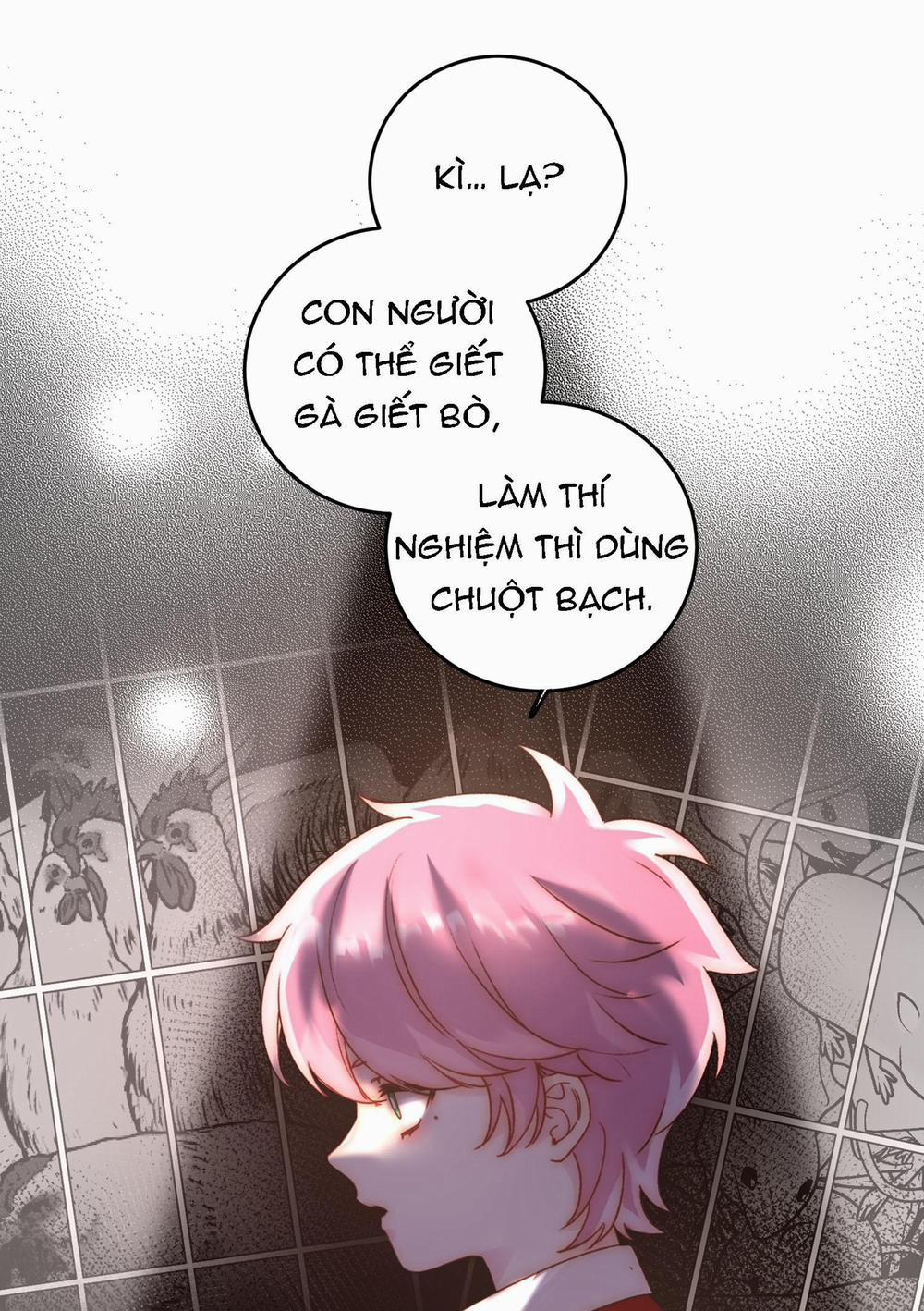 Tôi Phải Trở Thành Nhân Vật Đại Phản Diện 61 trang 24