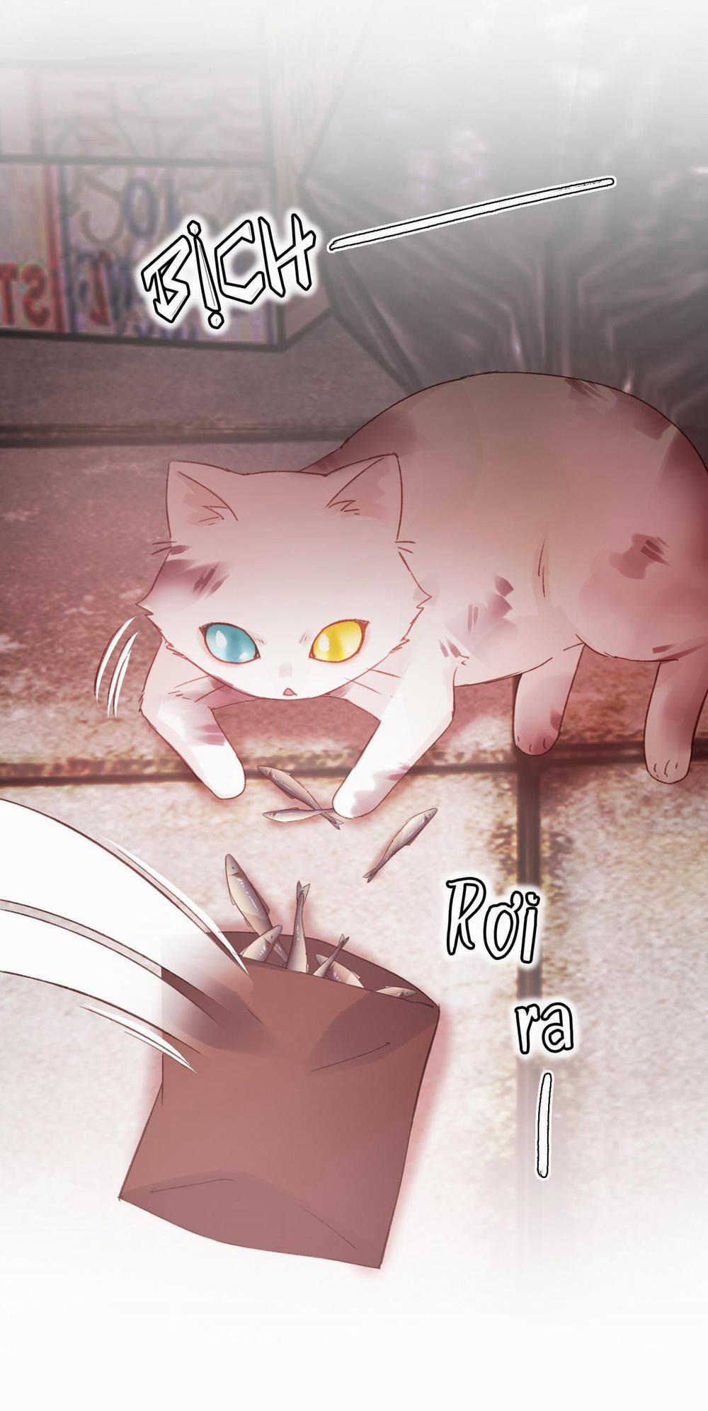 Tôi Phải Trở Thành Nhân Vật Đại Phản Diện 65 trang 5