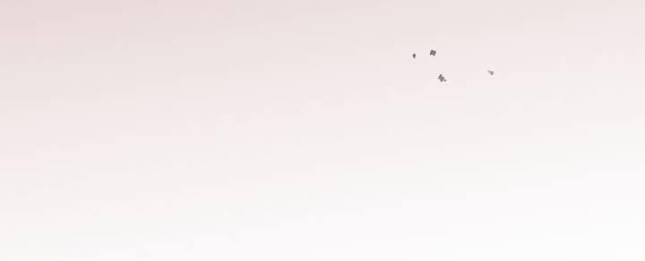 Tôi Sẽ Bị Trừ Khử Cùng Hoàng Đế 82.2 trang 39