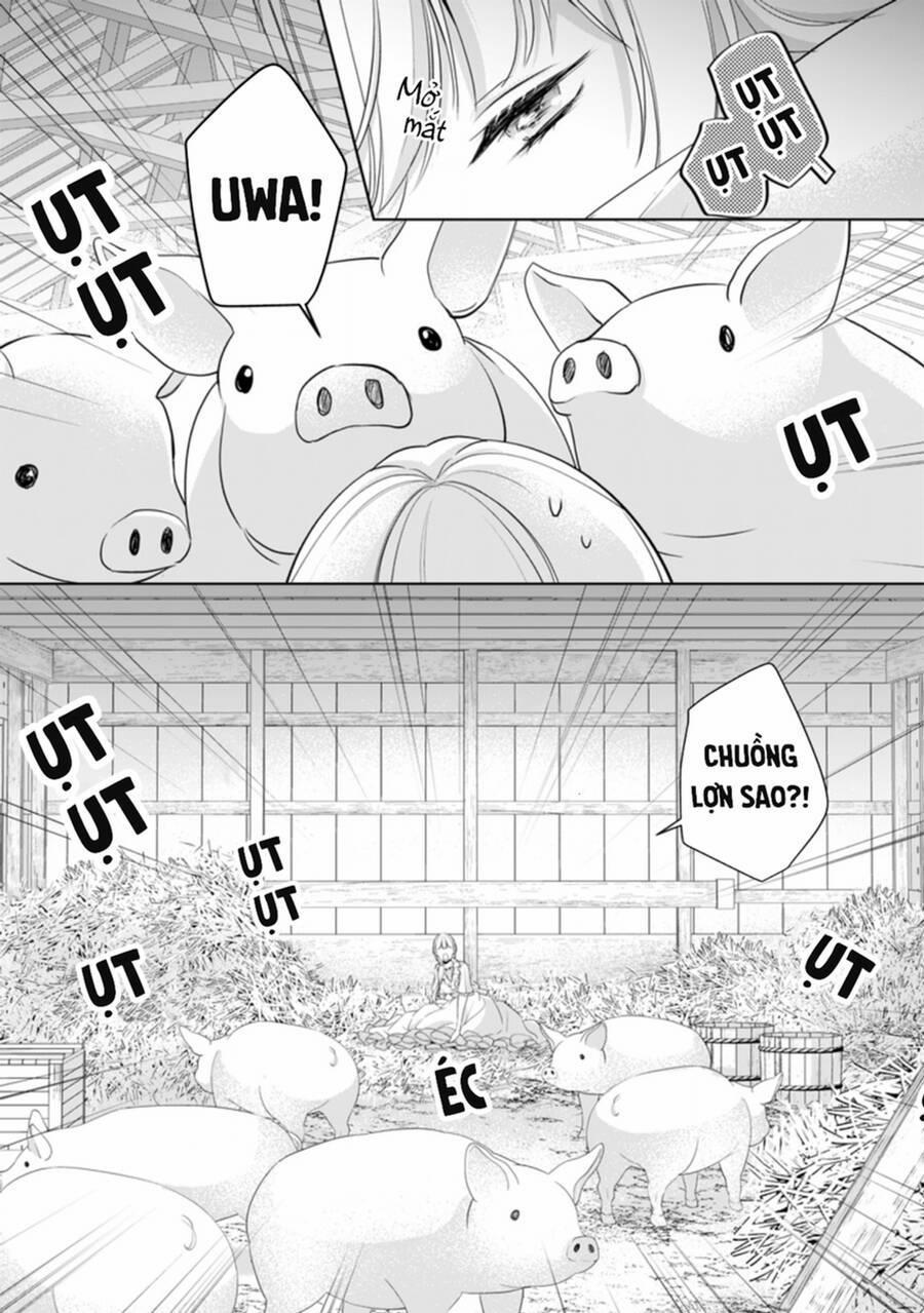 Tôi Sẽ Chết, Nếu Tôi Không Yêu 6 trang 1