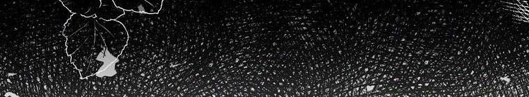 Tôi Sẽ Cứu Lấy Nam Chính Tiểu Thuyết Bl 22 trang 385